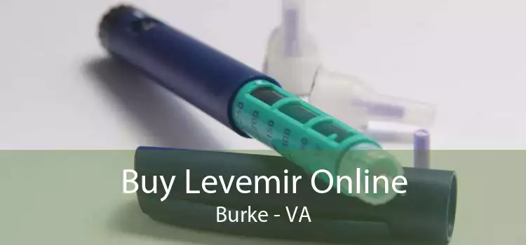 Buy Levemir Online Burke - VA
