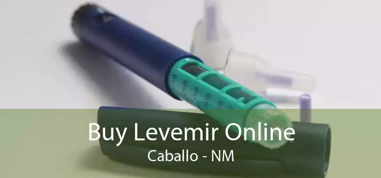 Buy Levemir Online Caballo - NM