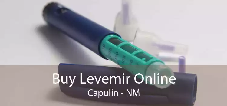 Buy Levemir Online Capulin - NM