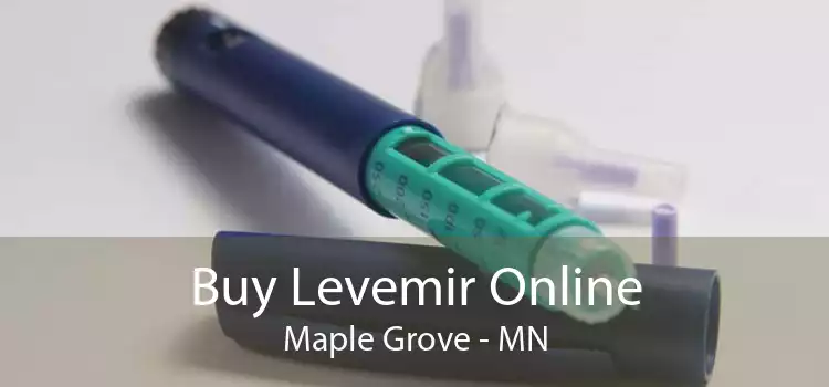 Buy Levemir Online Maple Grove - MN